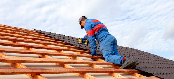 Best Roof Insulation Installation  in Cheree, OK